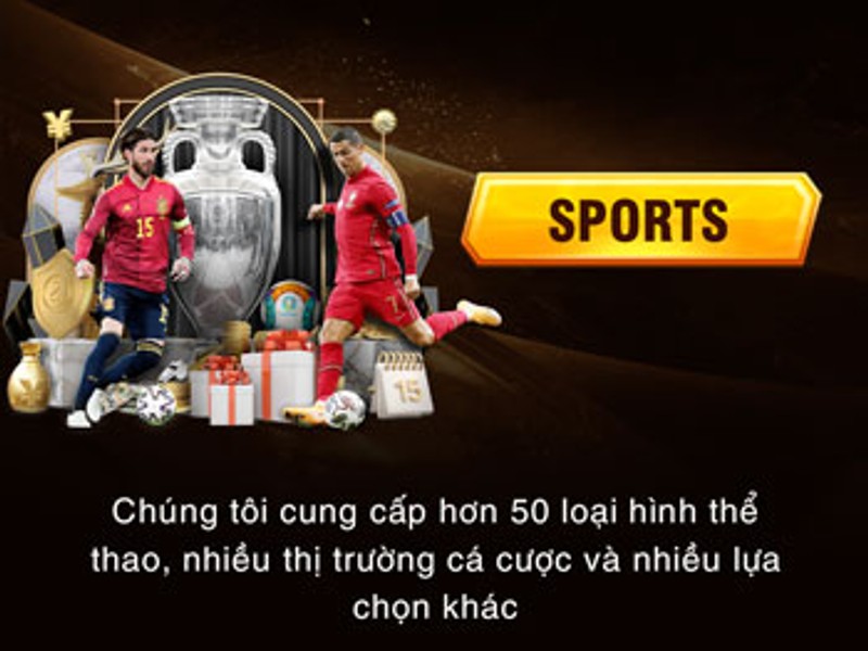 Cá Cược Thể Thao B66
