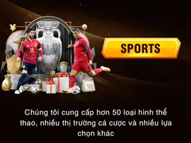 Cá Cược Thể Thao B66